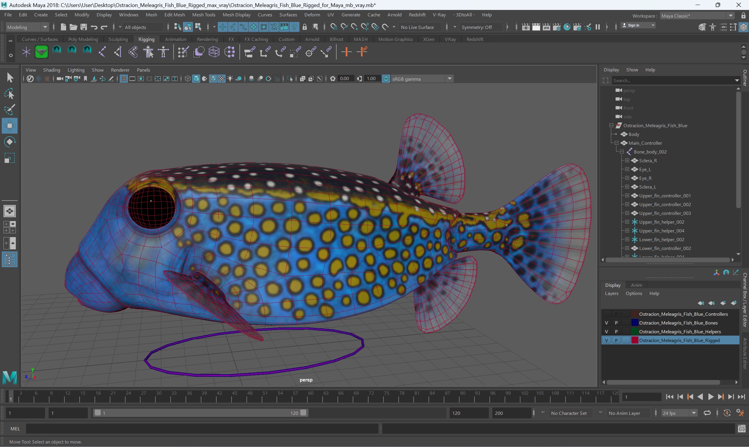 3D model Ostracion Meleagris Fish Blue Rigged for Maya