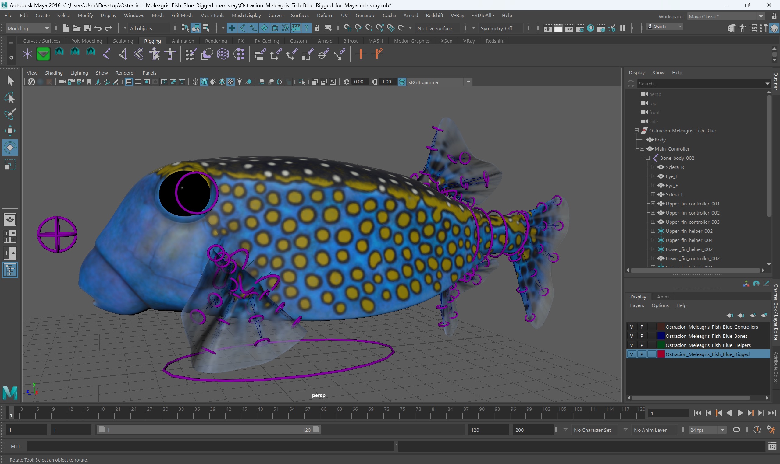 3D model Ostracion Meleagris Fish Blue Rigged for Maya