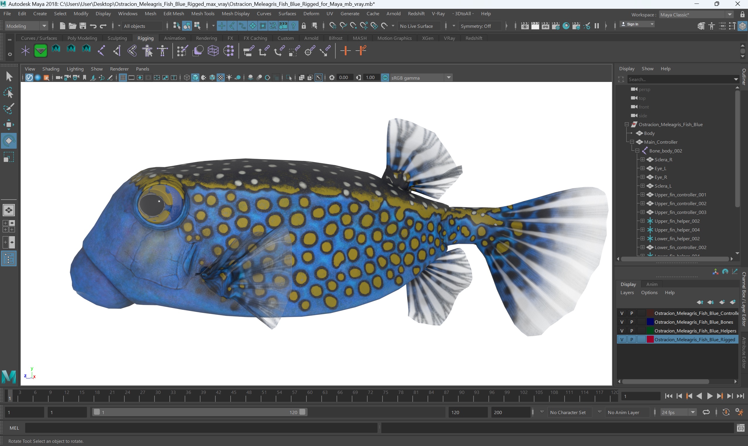 3D model Ostracion Meleagris Fish Blue Rigged for Maya