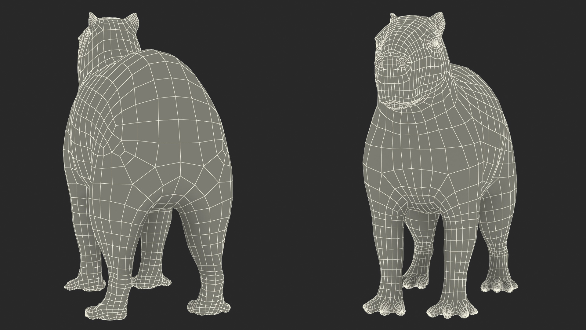 Capybara Rigged for Modo 3D model