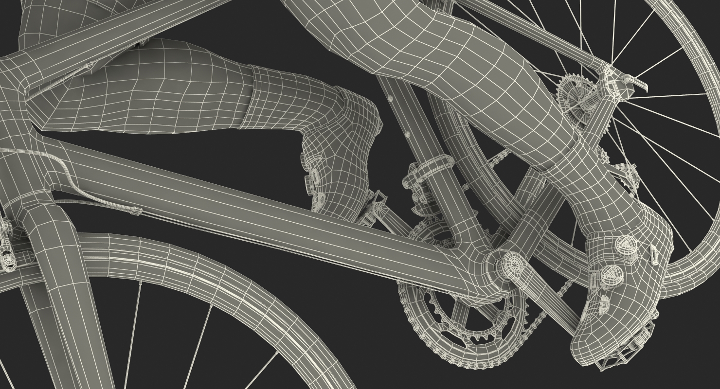 Bicyclist on Road Bike 3D