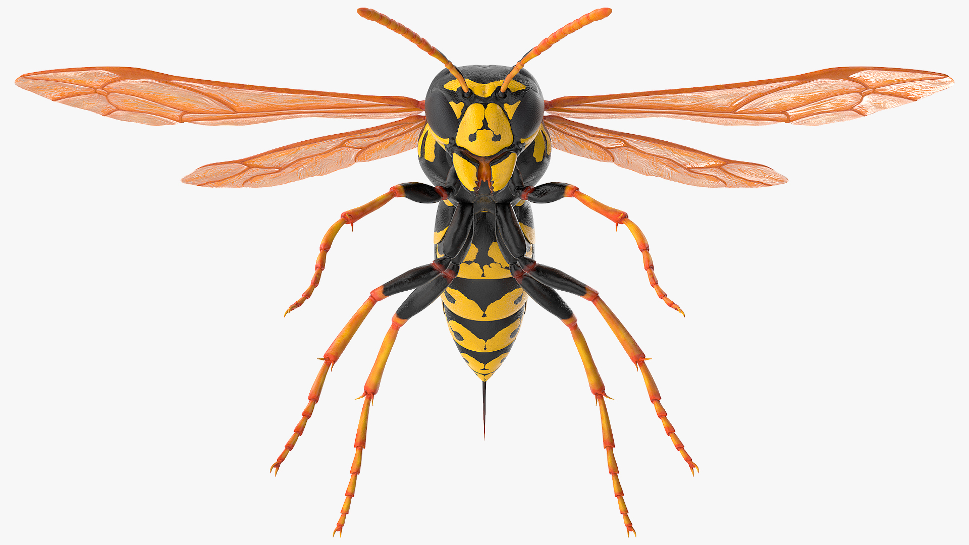 3D model Paper Wasp