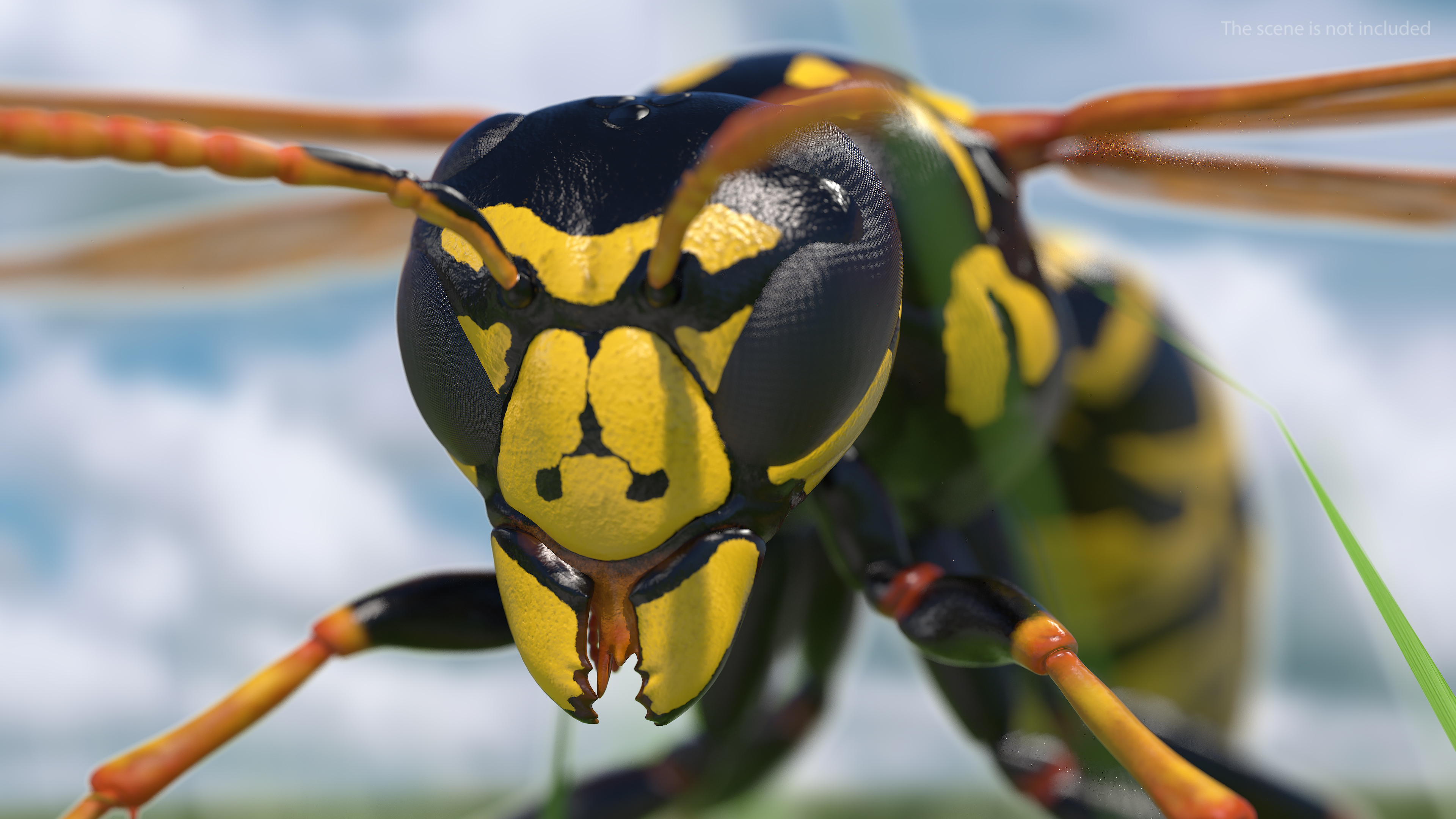 3D model Paper Wasp