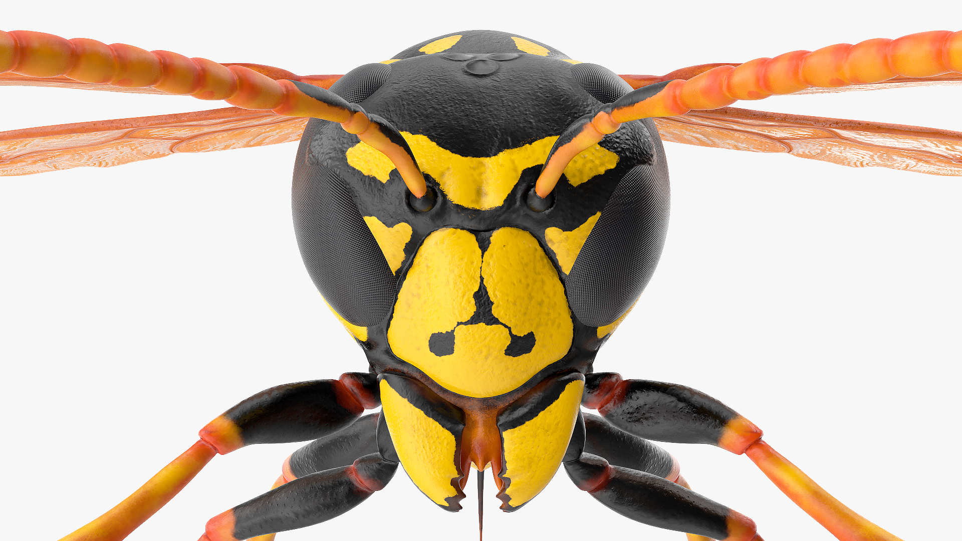 3D model Paper Wasp