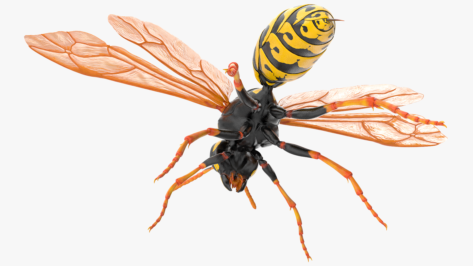 3D model Paper Wasp