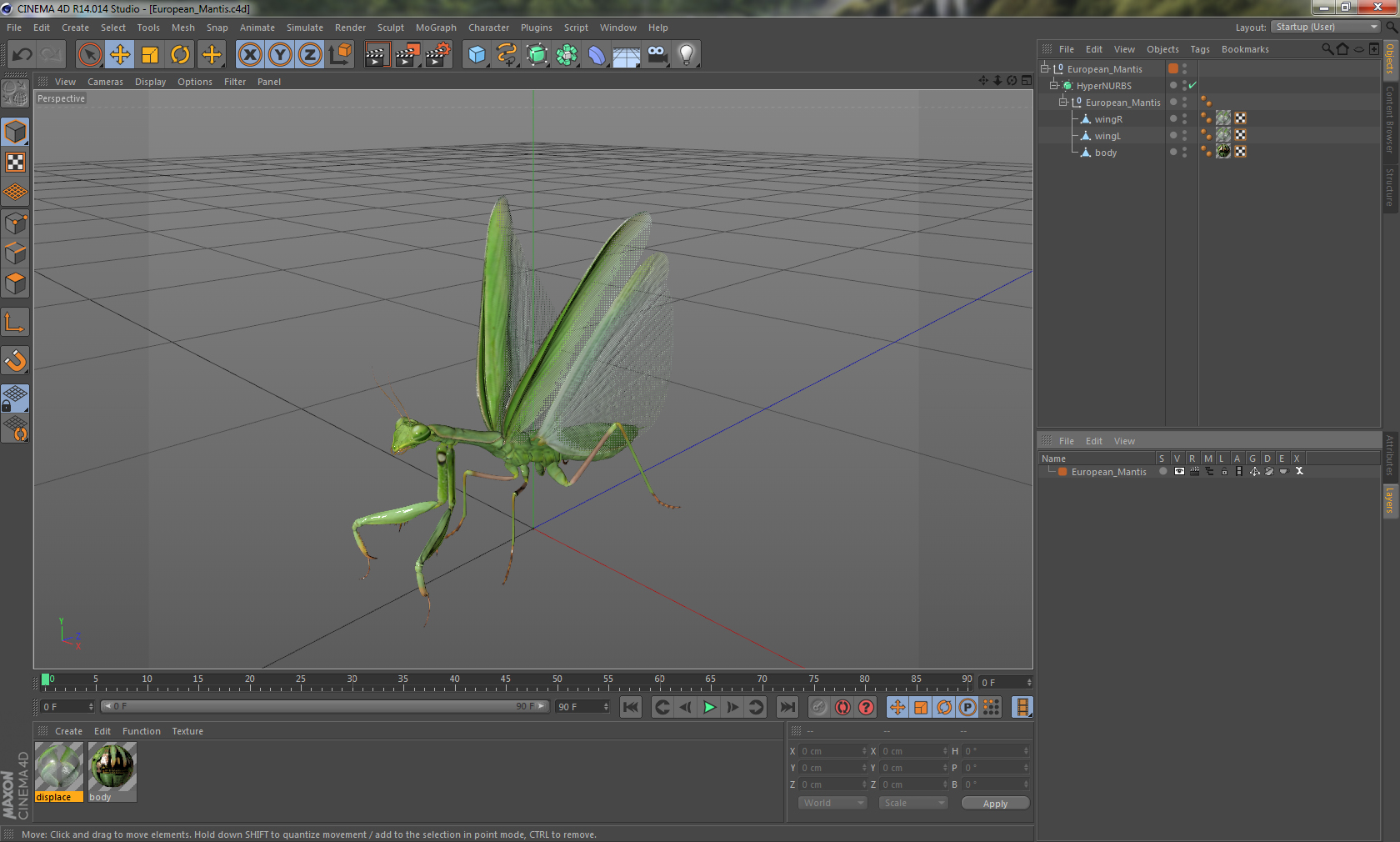 3D model European Mantis