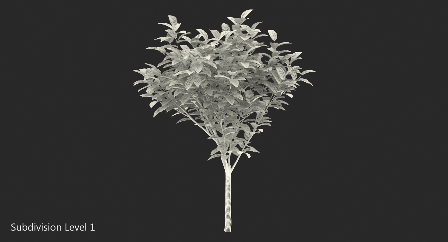 3D model Small Tree