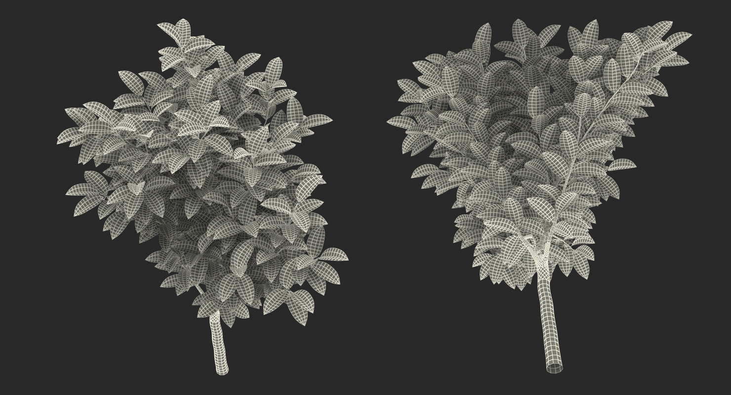 3D model Small Tree