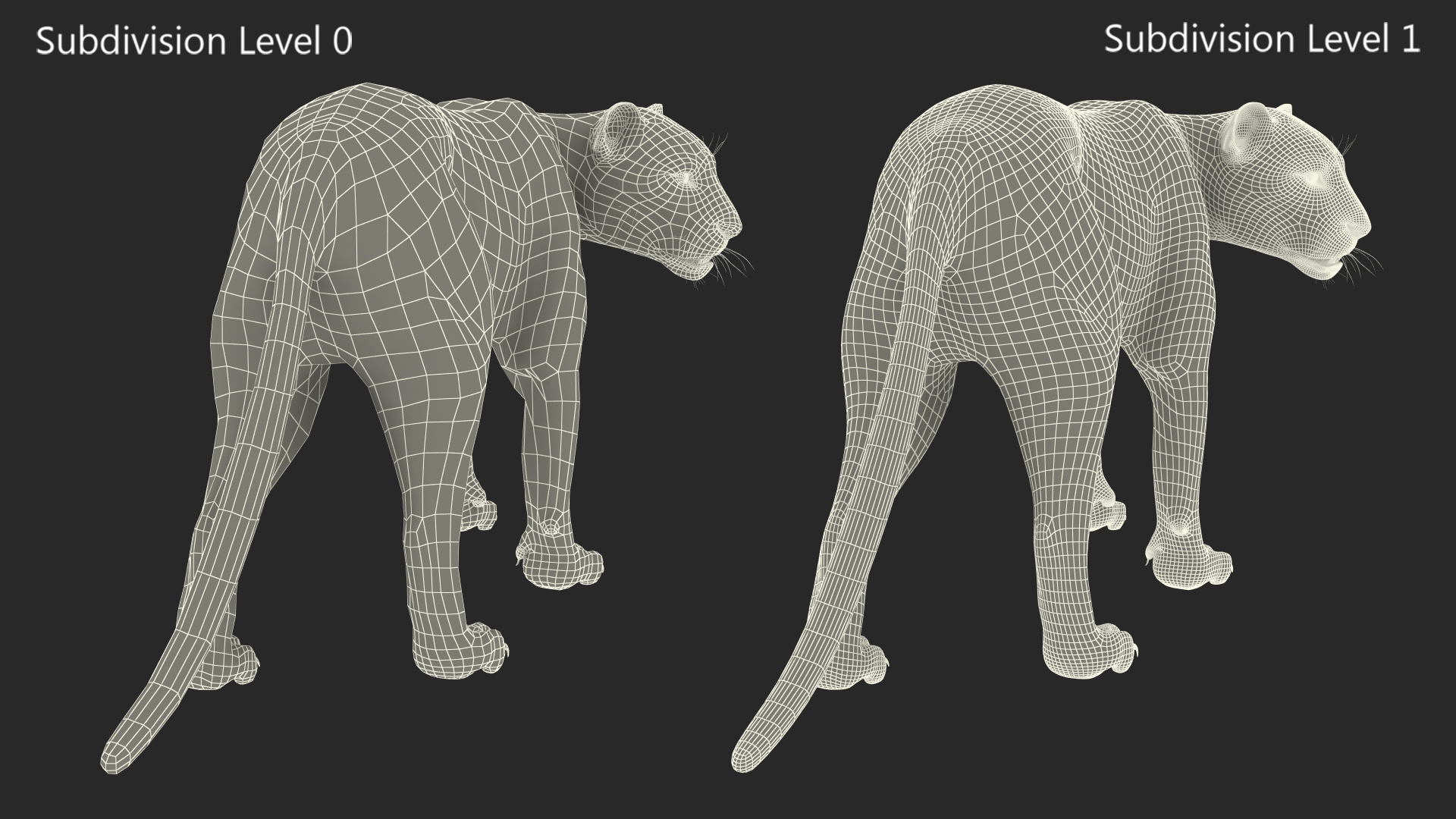 3D model Black Panther Walking Pose Fur