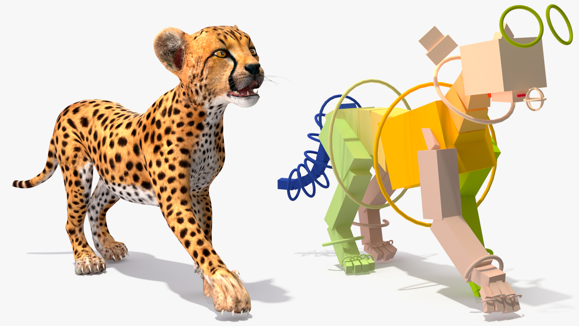 3D Cheetah Cub Rigged model