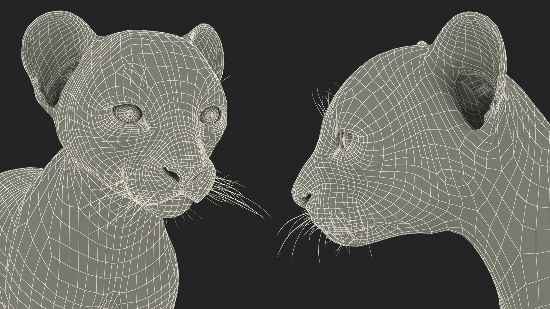 3D Cheetah Cub Rigged model