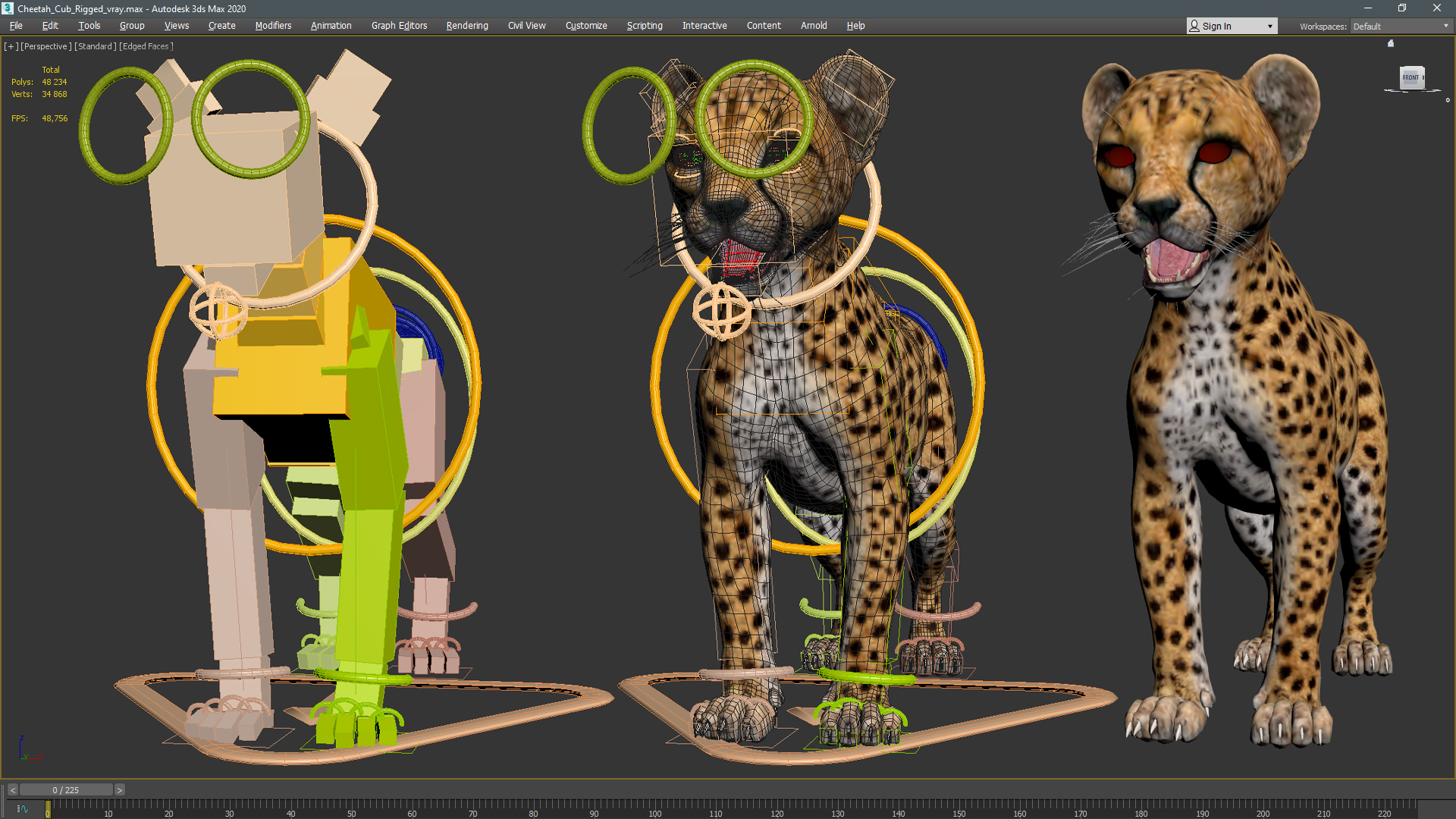 3D Cheetah Cub Rigged model