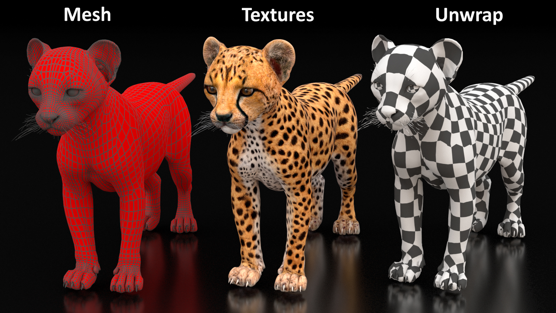 3D Cheetah Cub Rigged model