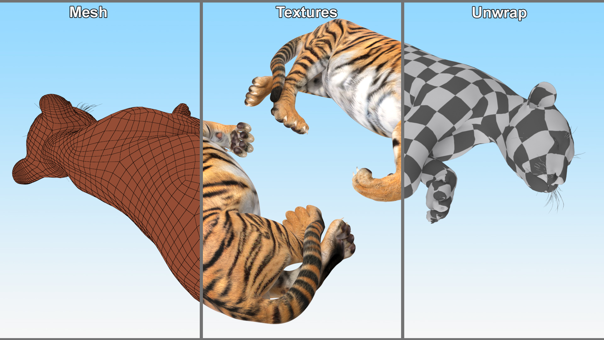 3D Tiger Cub Sleeping for 3D Print