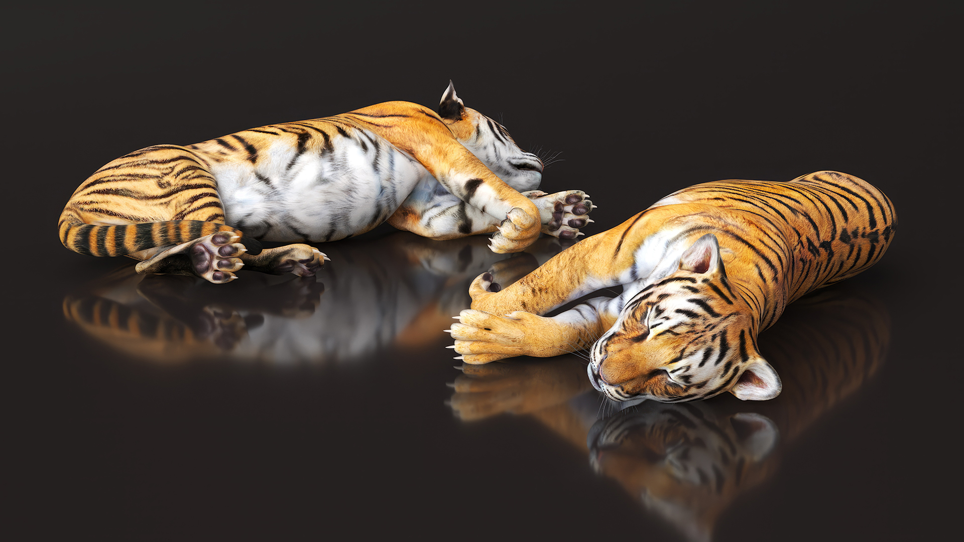 3D Tiger Cub Sleeping for 3D Print