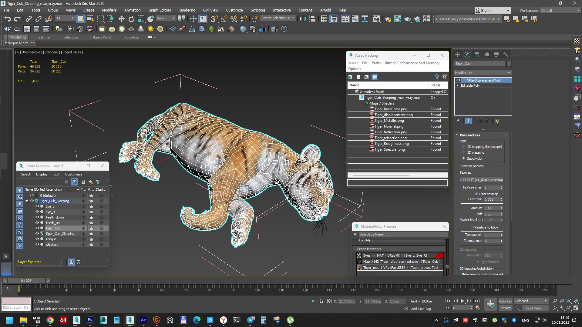 3D Tiger Cub Sleeping for 3D Print