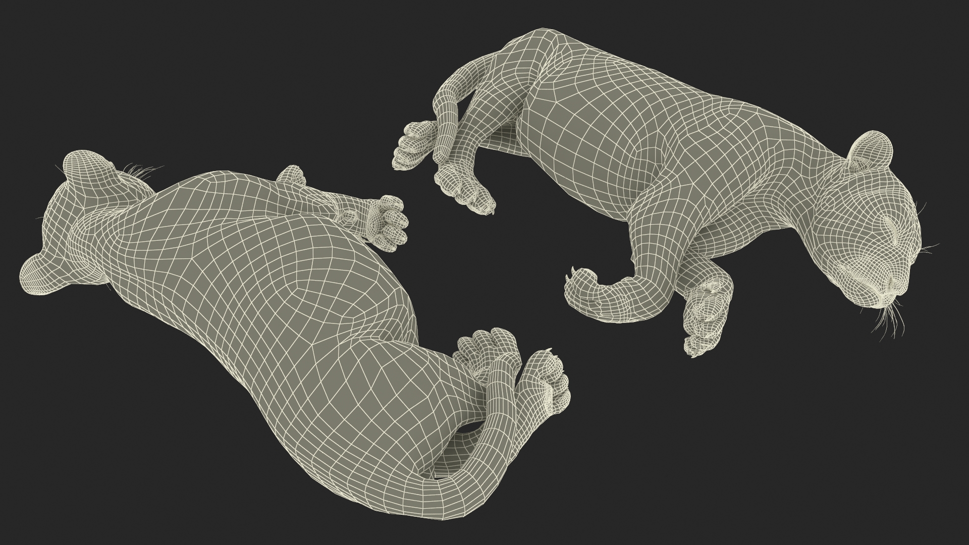 3D Tiger Cub Sleeping for 3D Print