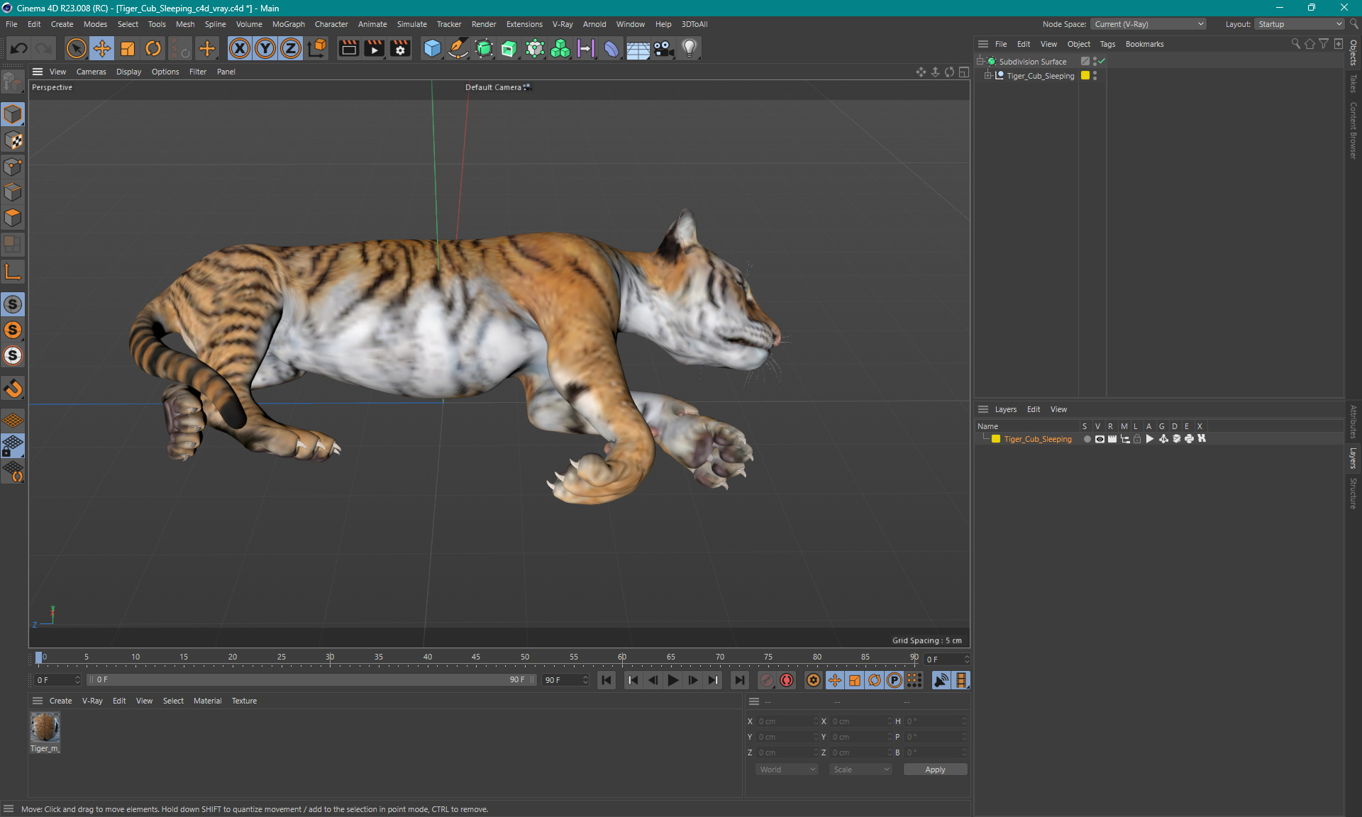 3D Tiger Cub Sleeping for 3D Print