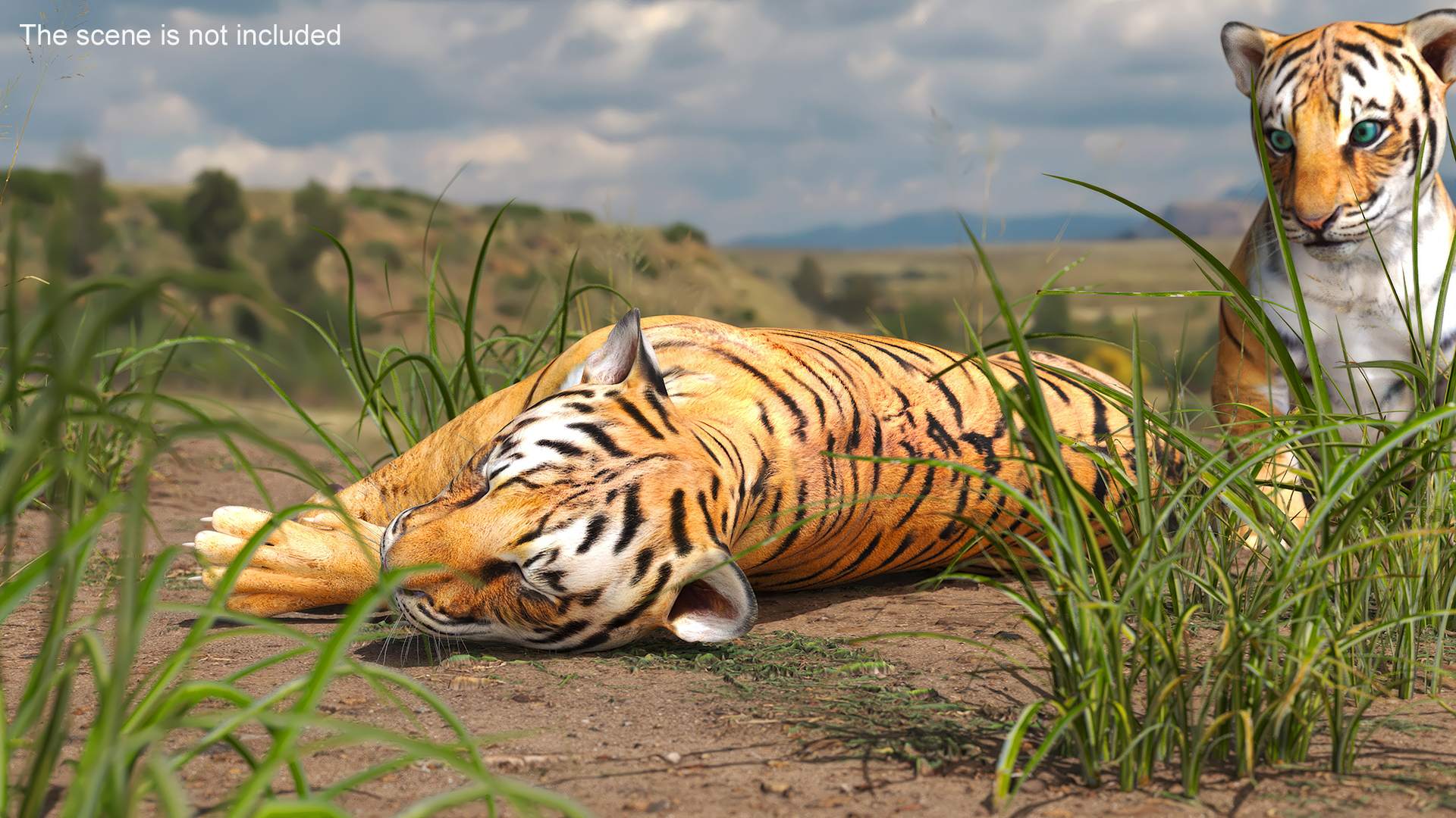 3D Tiger Cub Sleeping for 3D Print