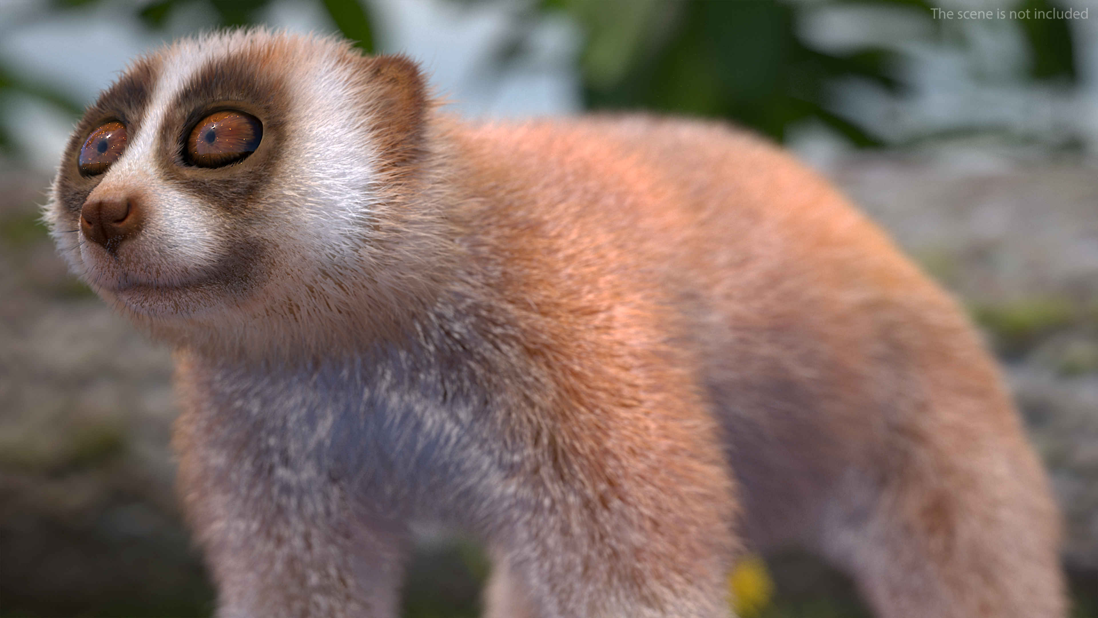 3D model Lemur Slow Loris Fur