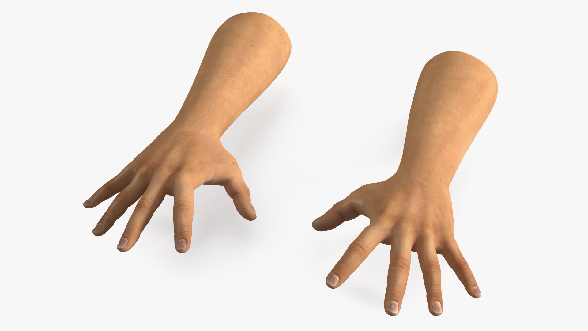 3D Realistic Human Hands