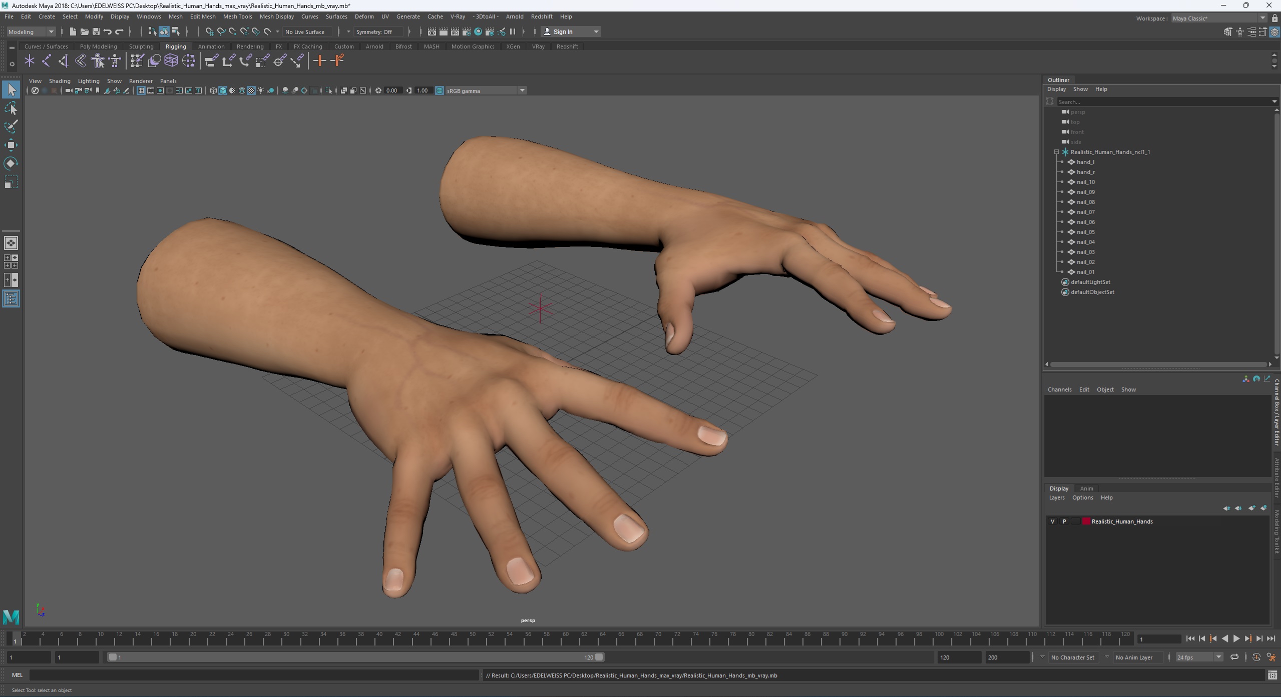 3D Realistic Human Hands