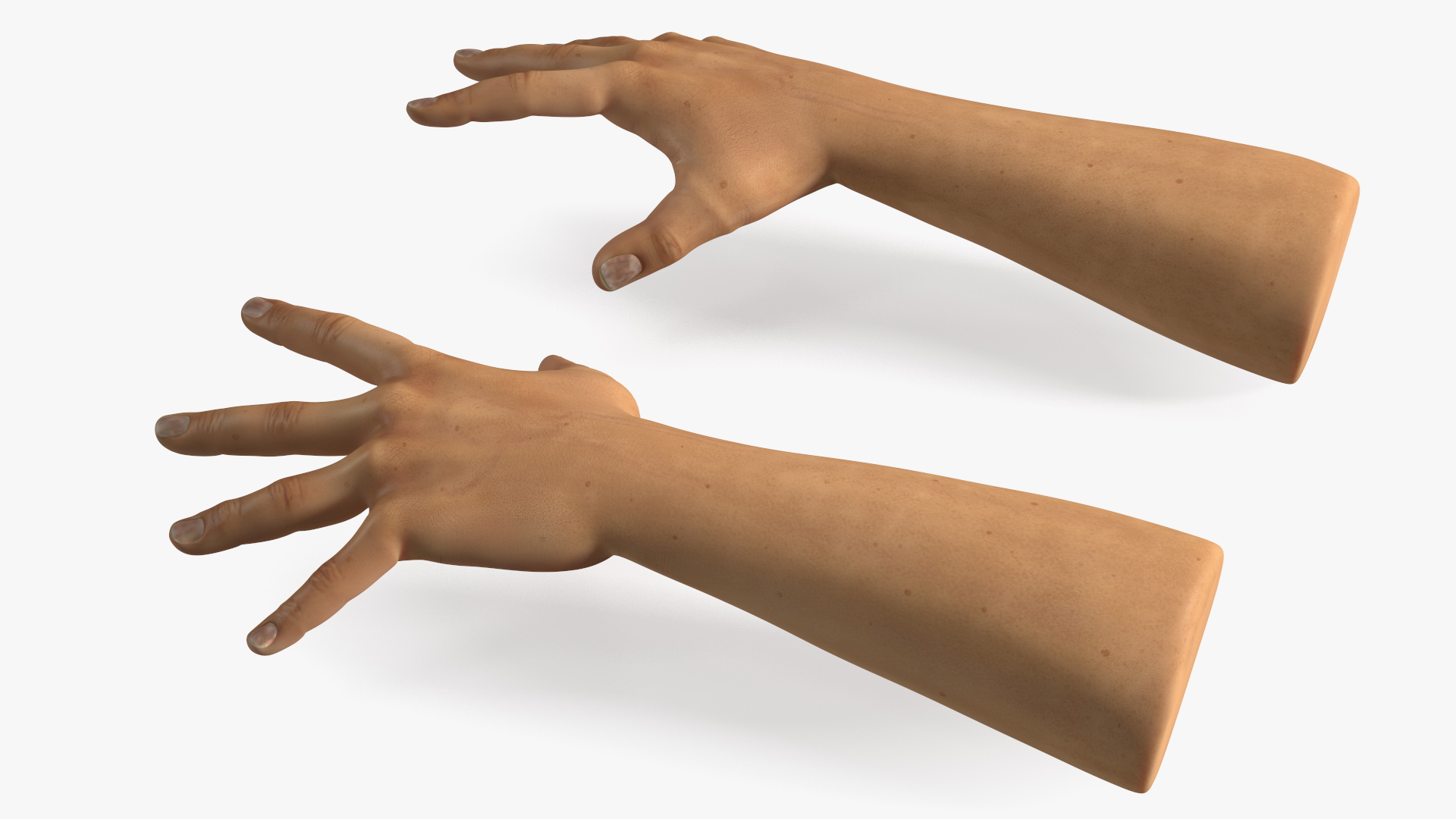 3D Realistic Human Hands