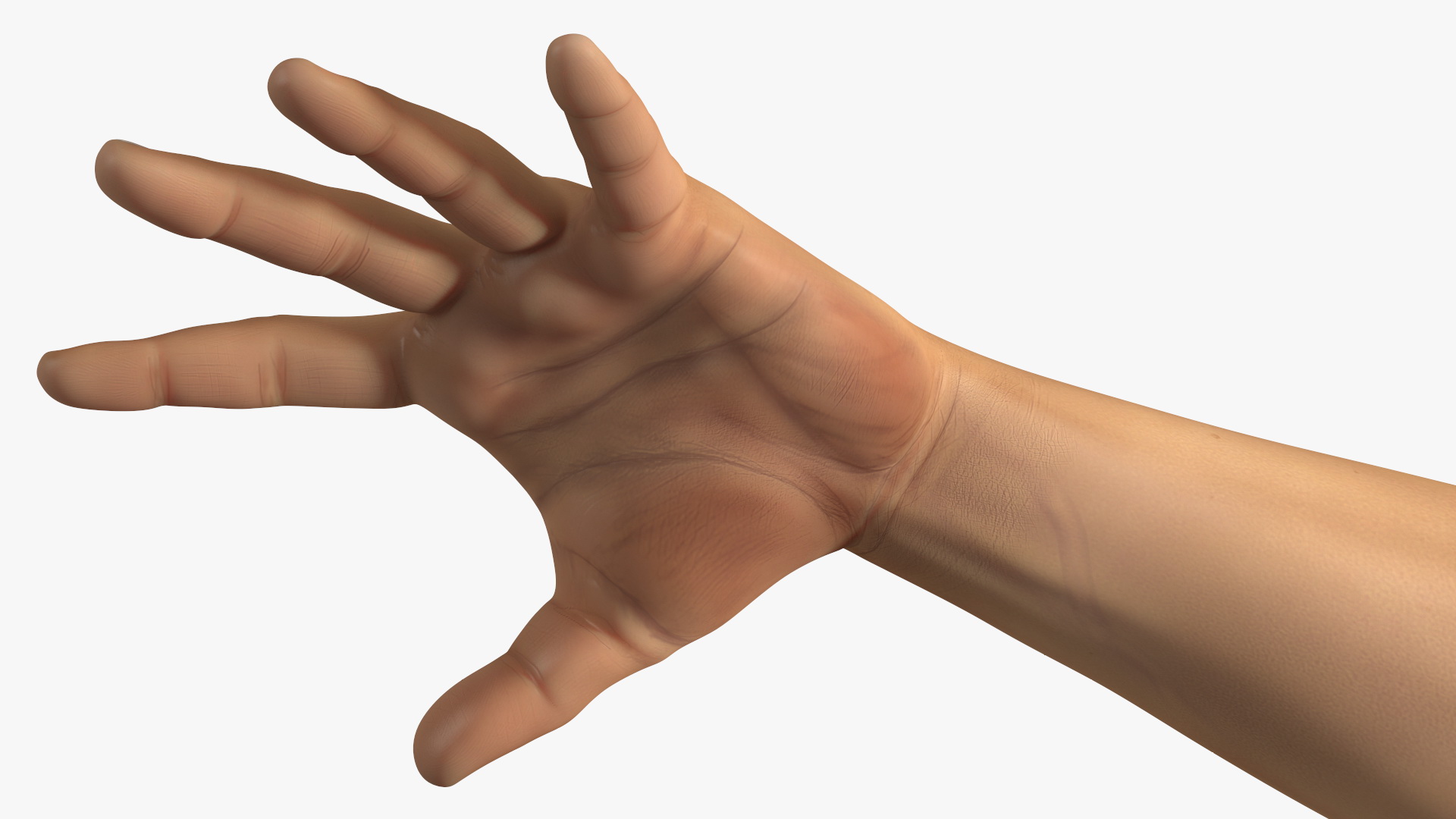 3D Realistic Human Hands