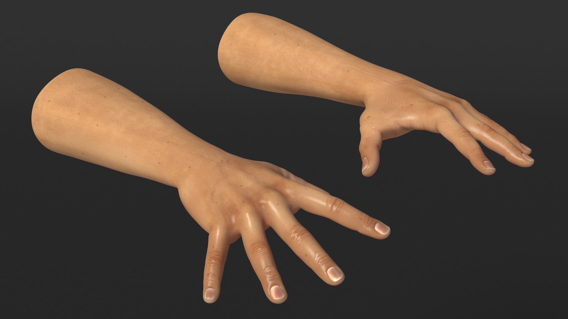 3D Realistic Human Hands