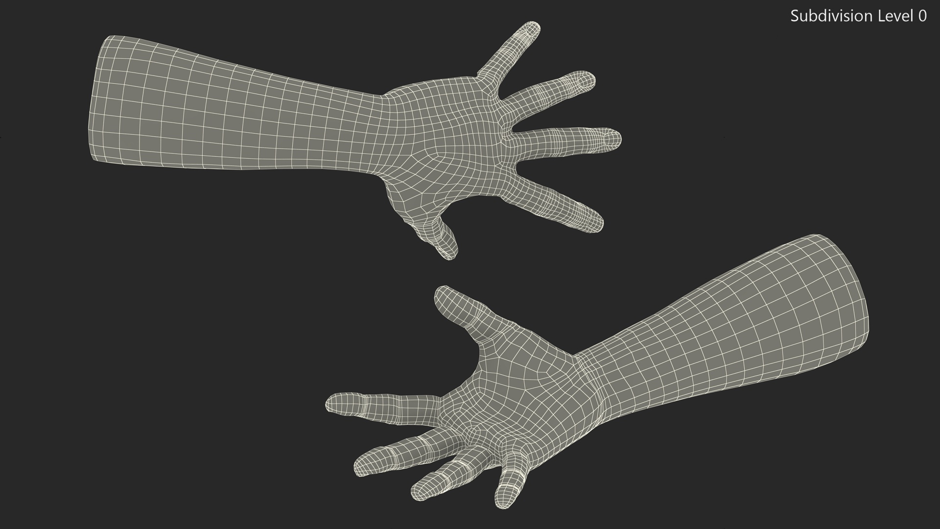 3D Realistic Human Hands