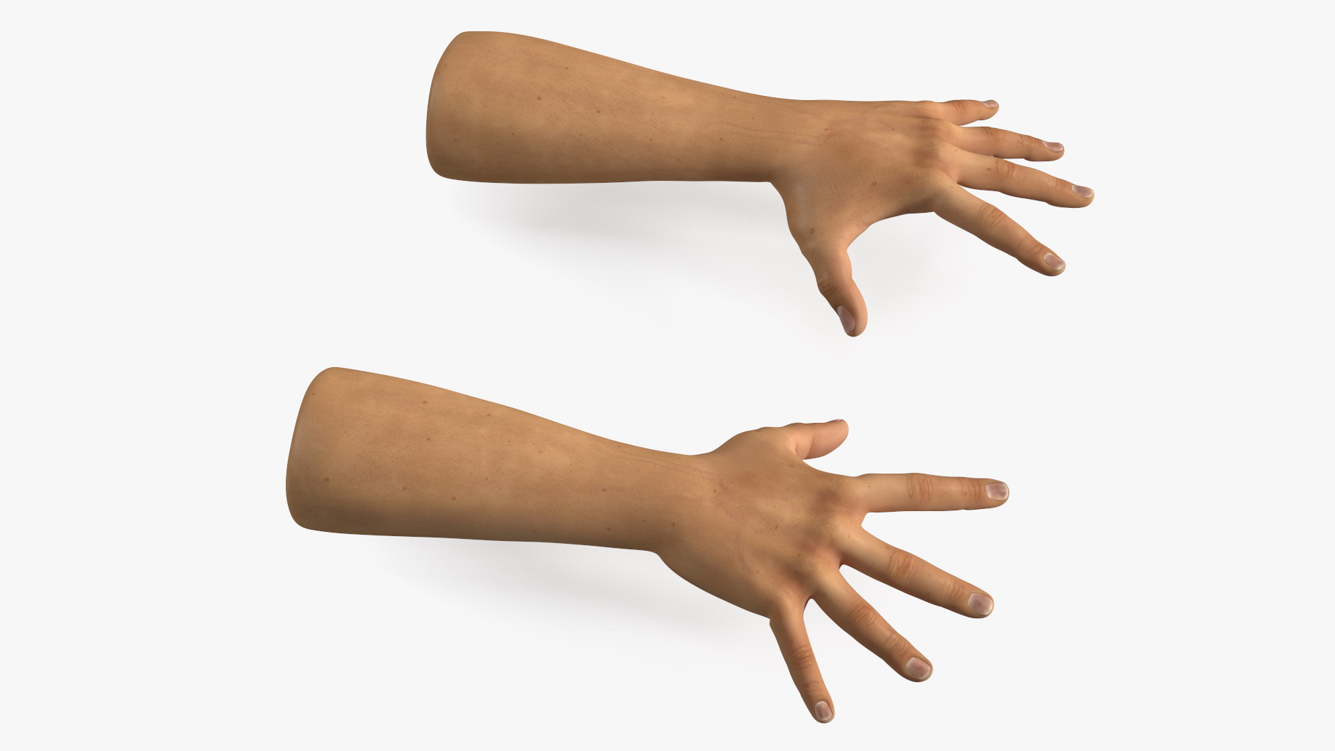 3D Realistic Human Hands