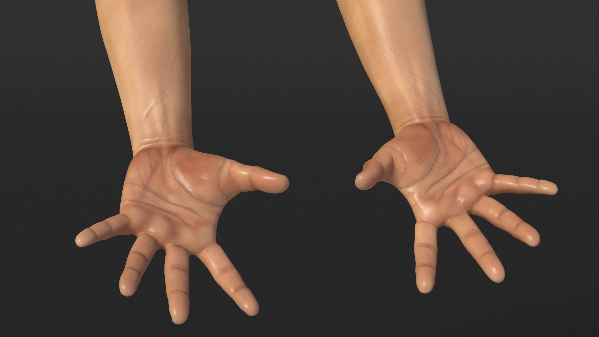 3D Realistic Human Hands