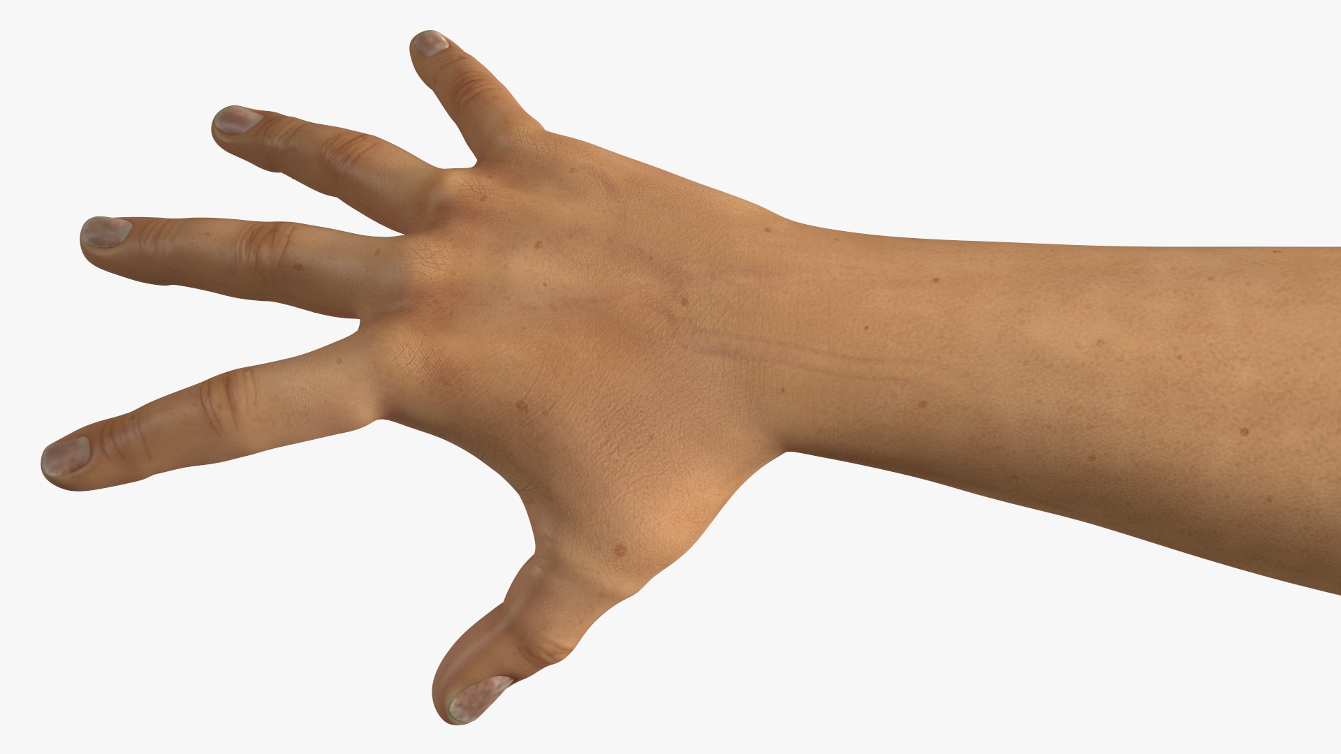 3D Realistic Human Hands