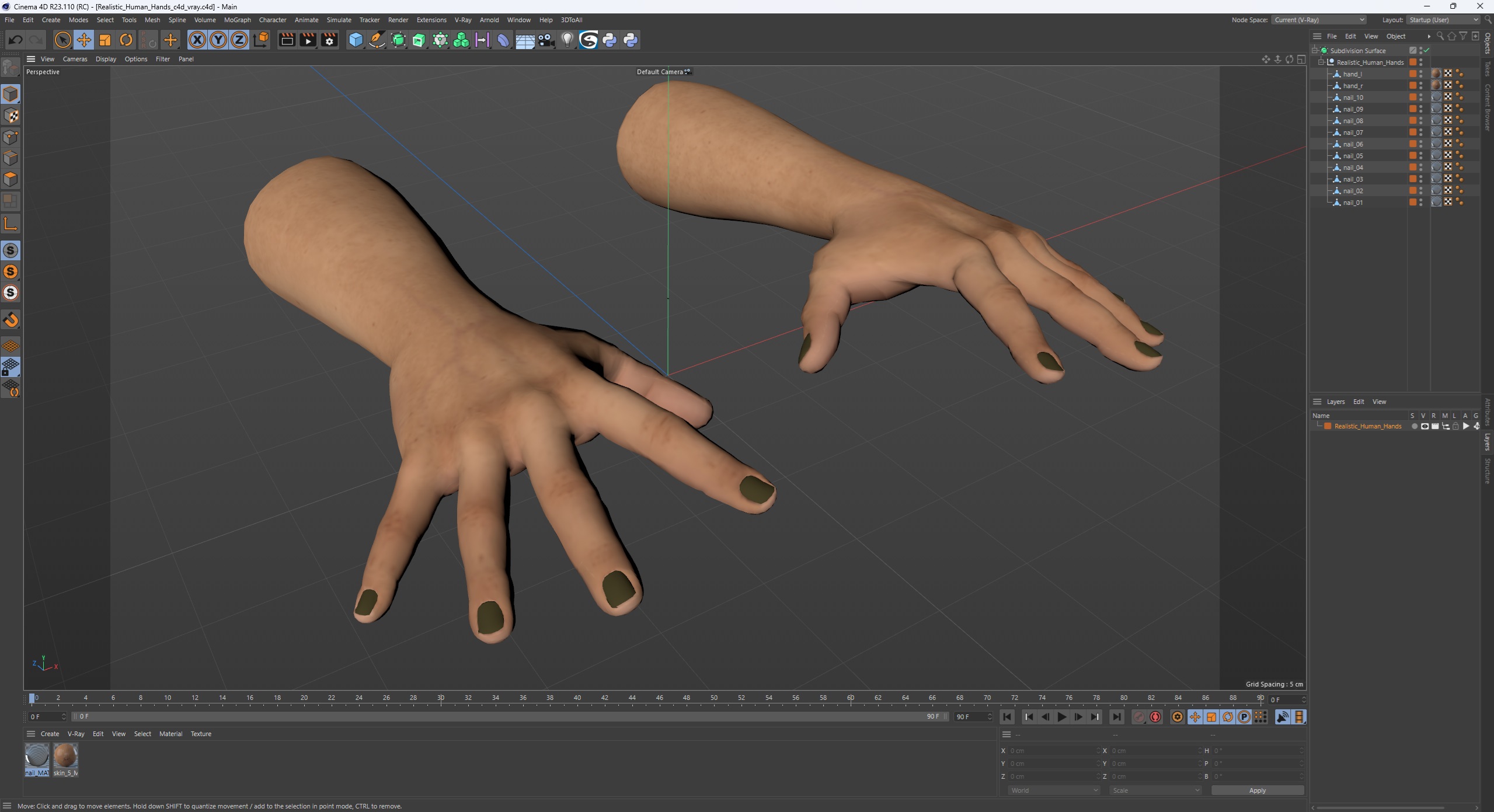 3D Realistic Human Hands