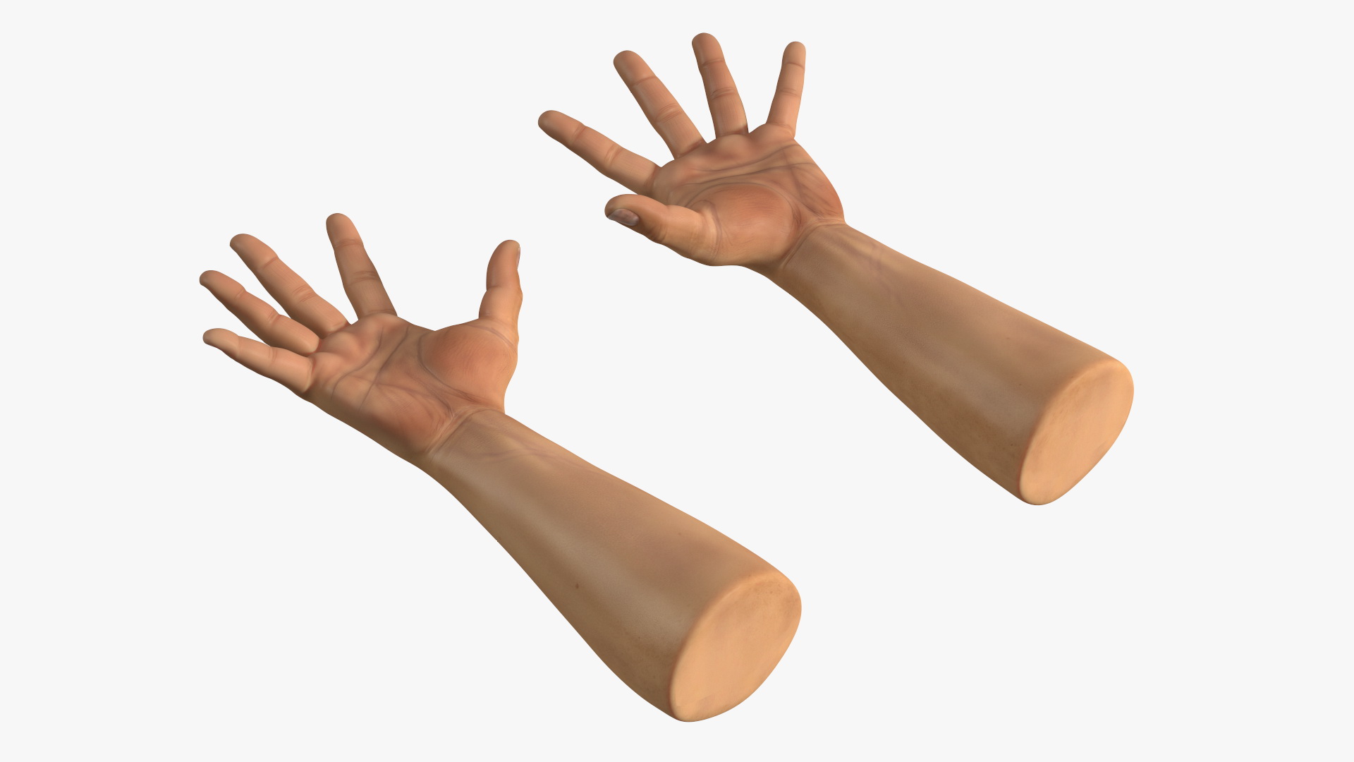 3D Realistic Human Hands