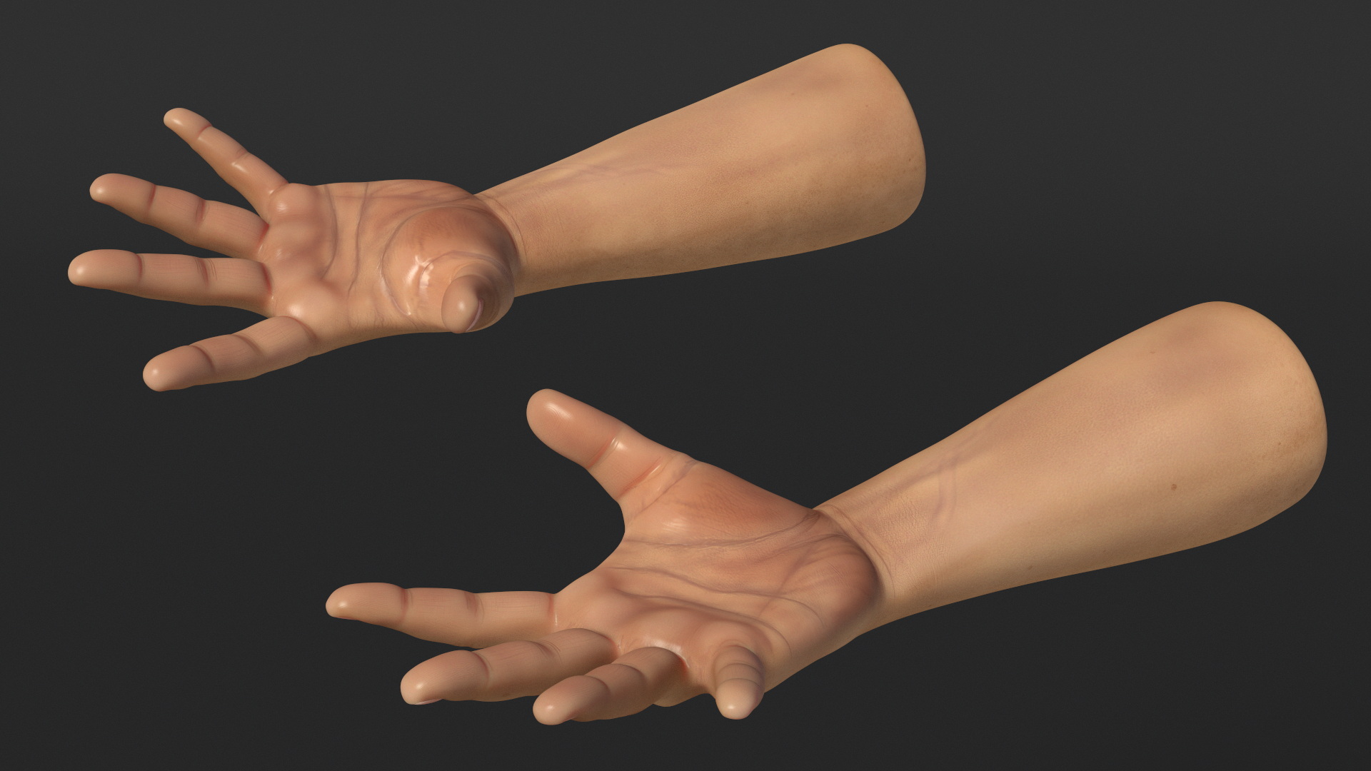 3D Realistic Human Hands