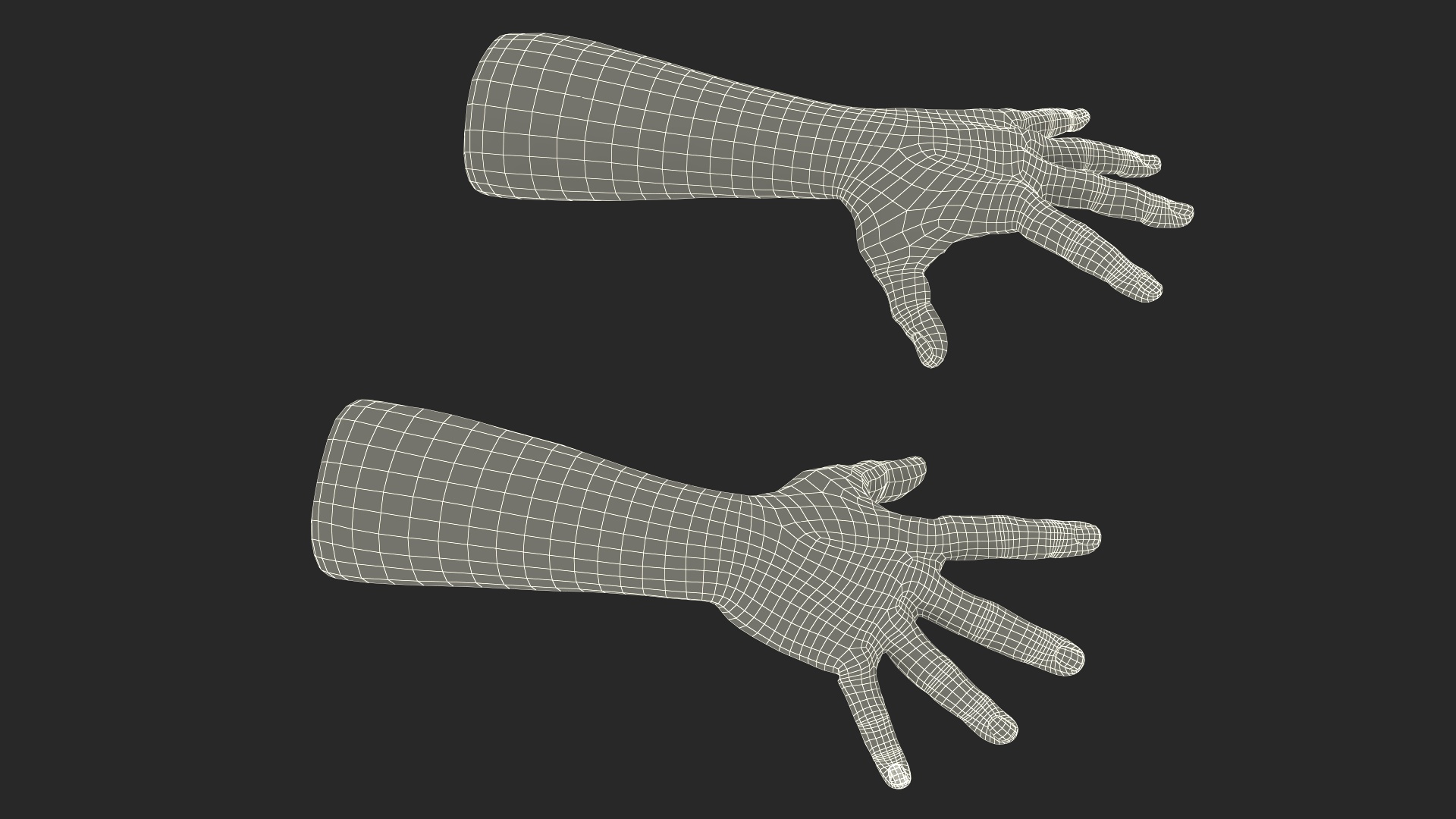 3D Realistic Human Hands