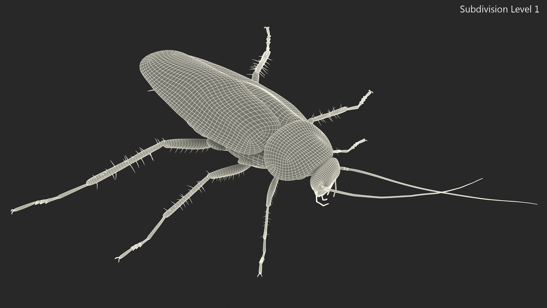 3D model Flying Red Cockroach