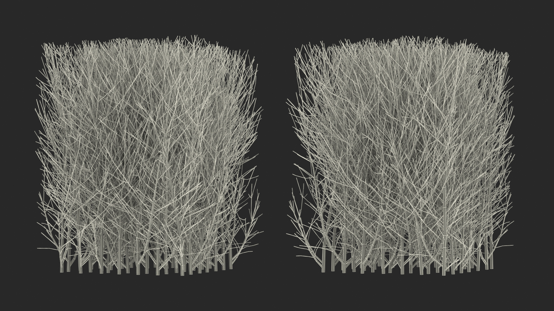 3D Square Bush