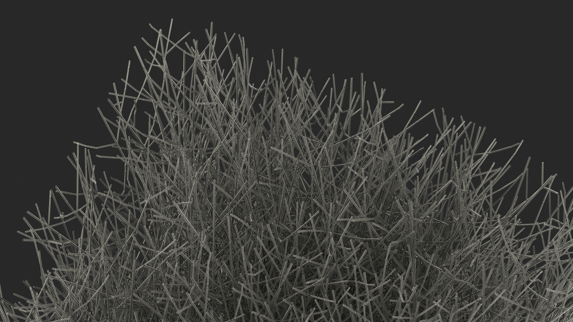 3D Square Bush