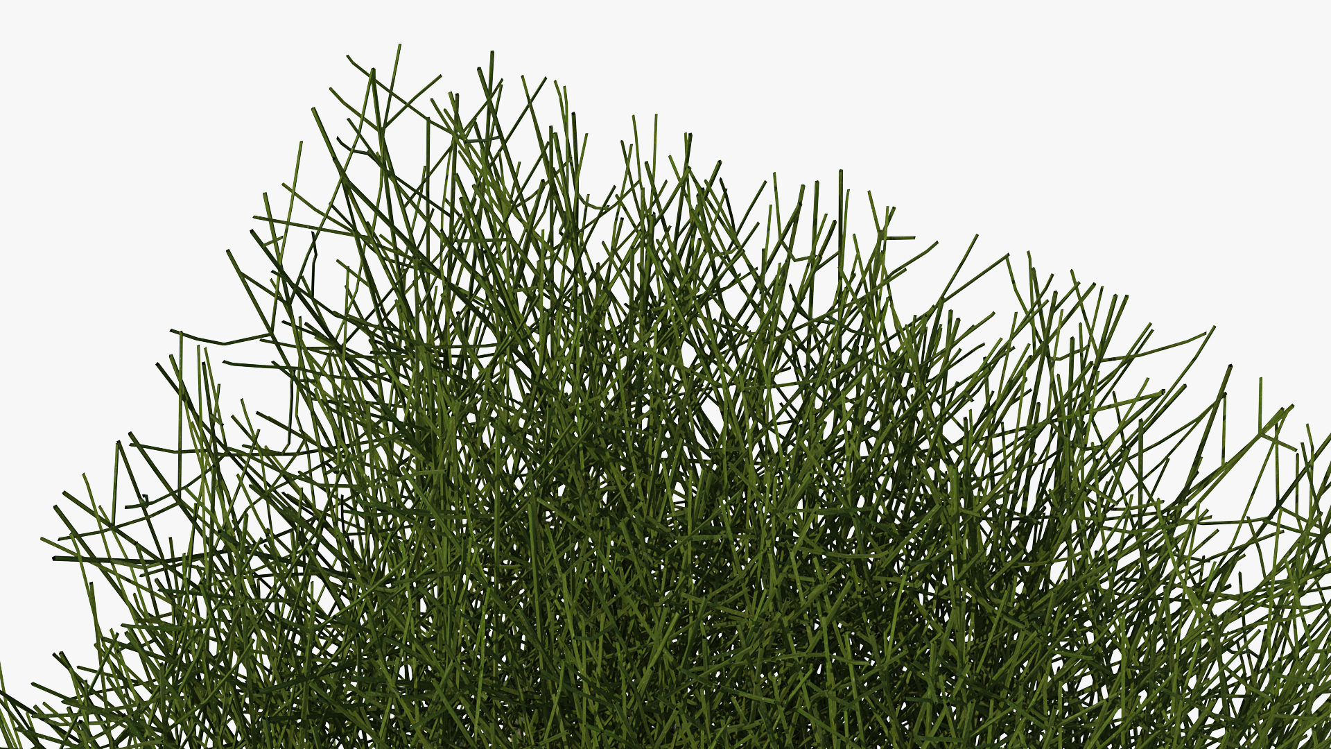 3D Square Bush