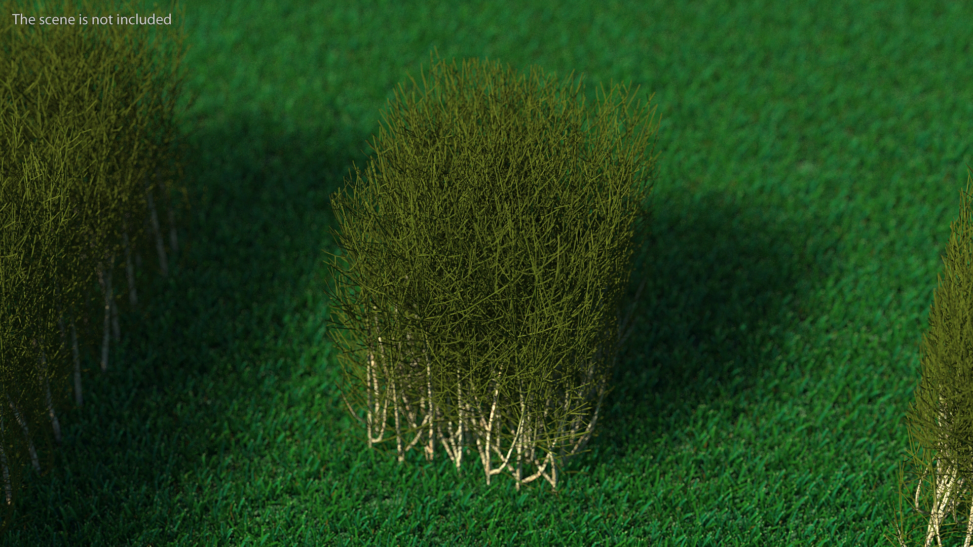 3D Square Bush