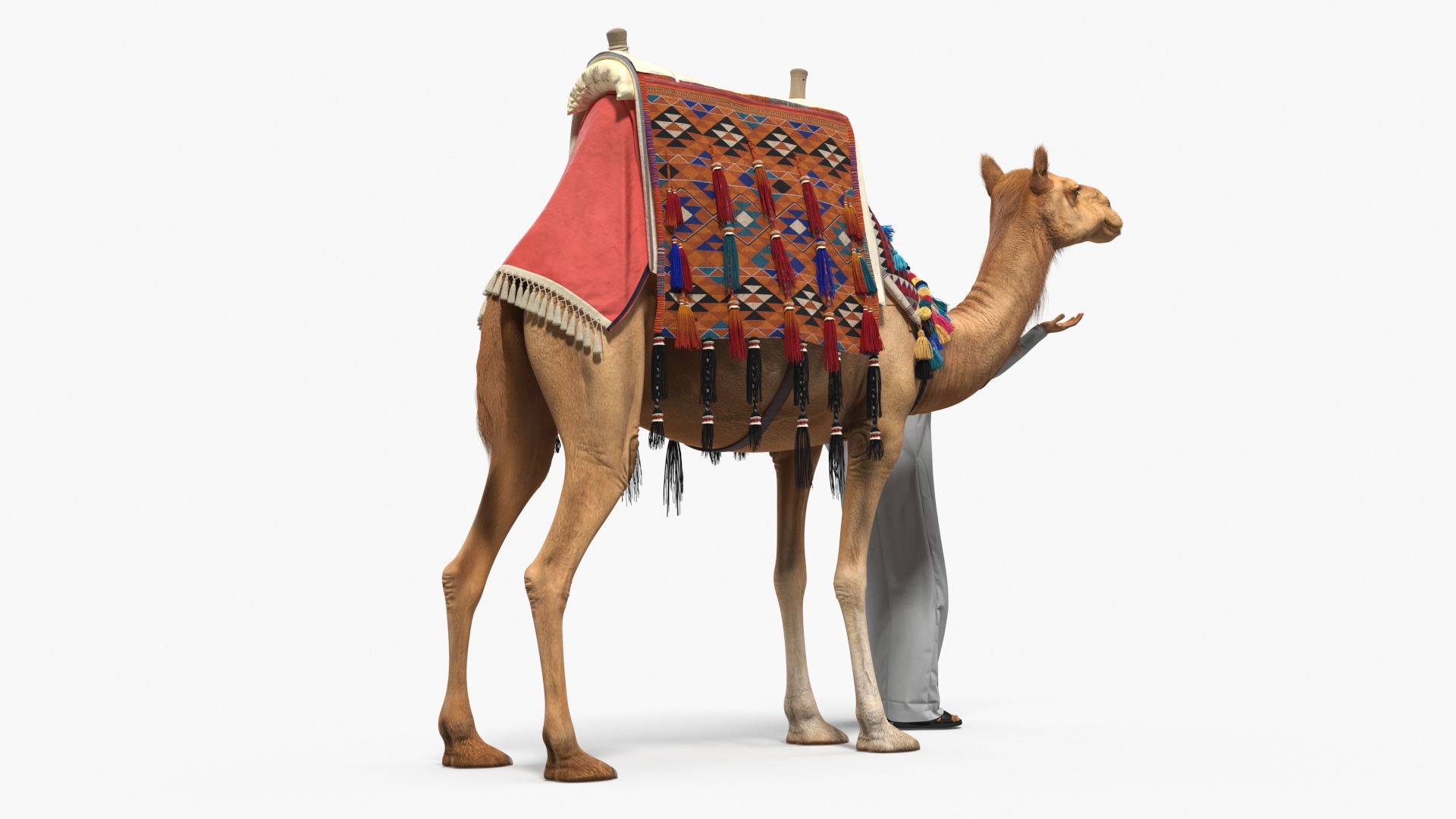 3D Arab Man with Camel in Cape Fur