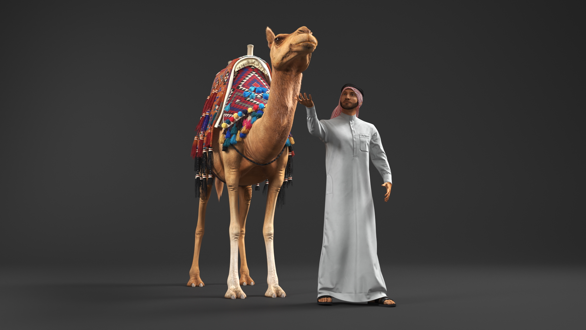 3D Arab Man with Camel in Cape Fur