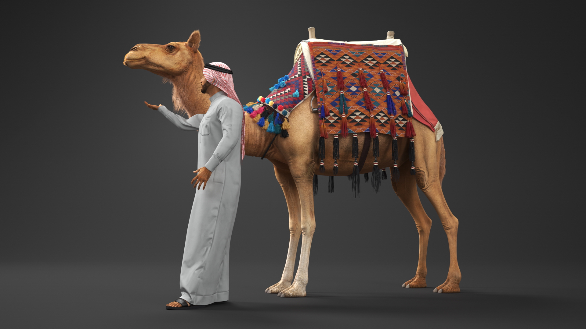 3D Arab Man with Camel in Cape Fur