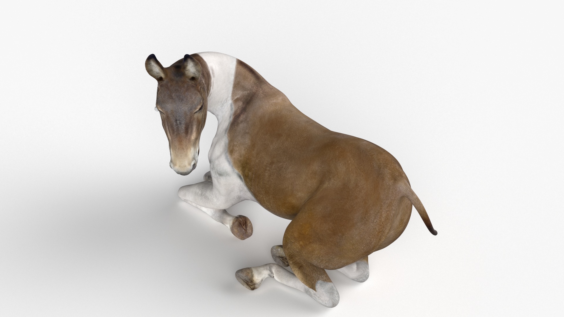 3D model Lying Mule