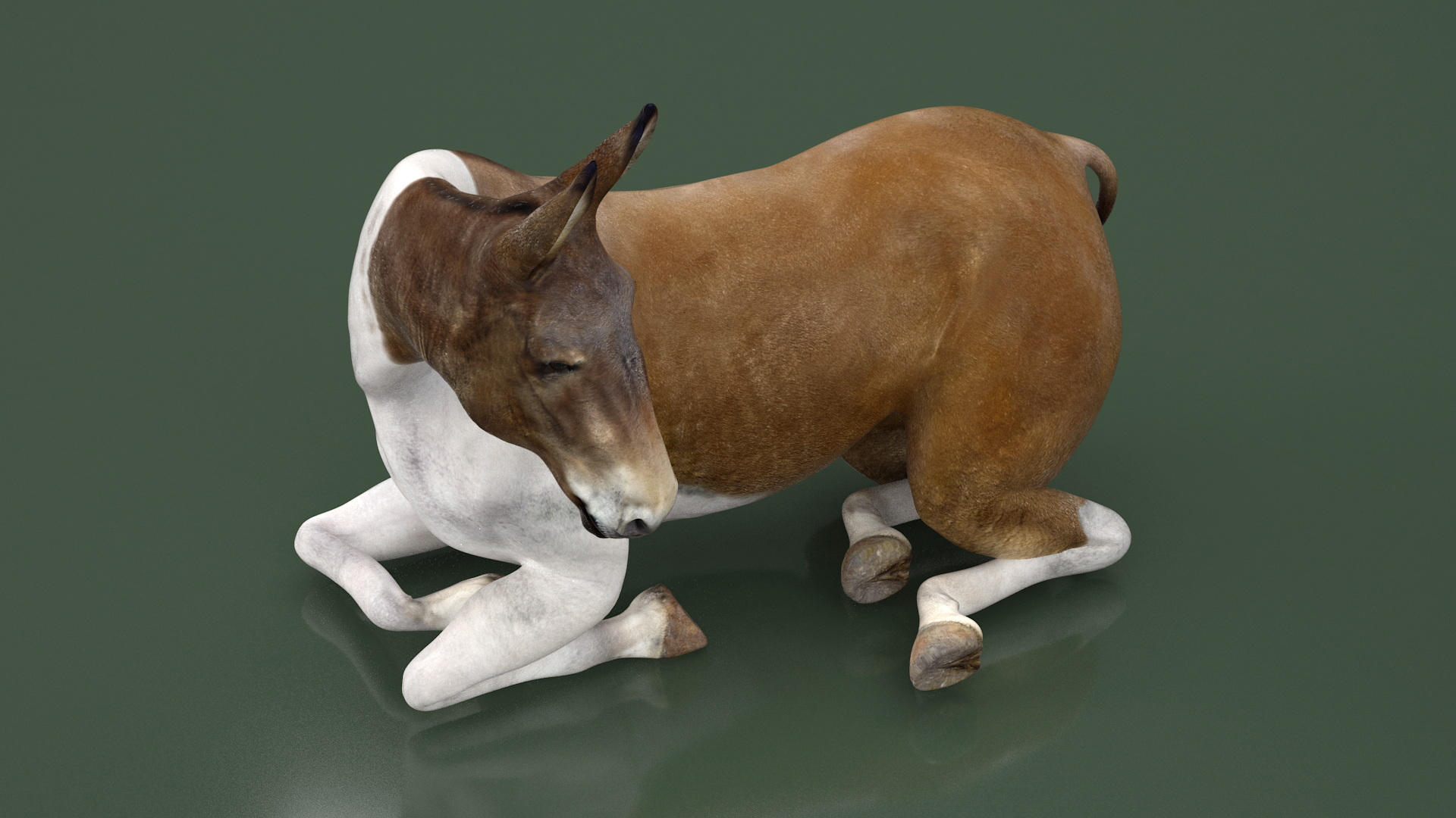 3D model Lying Mule