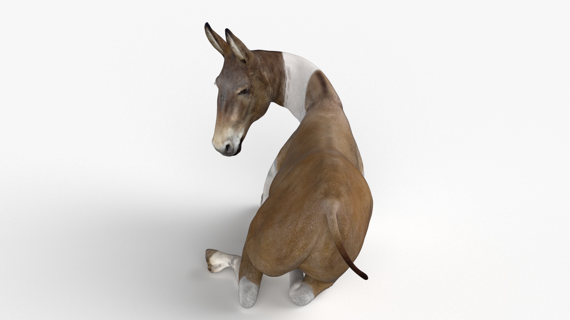 3D model Lying Mule