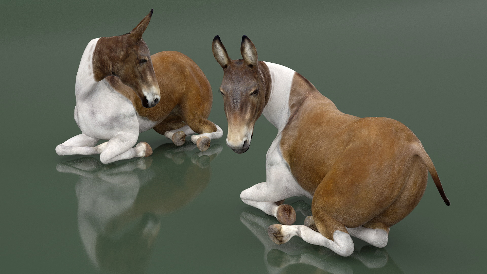 3D model Lying Mule