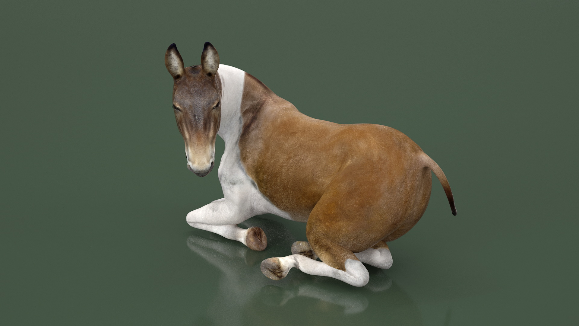 3D model Lying Mule